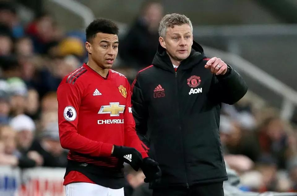 在这个背景 在这个背景