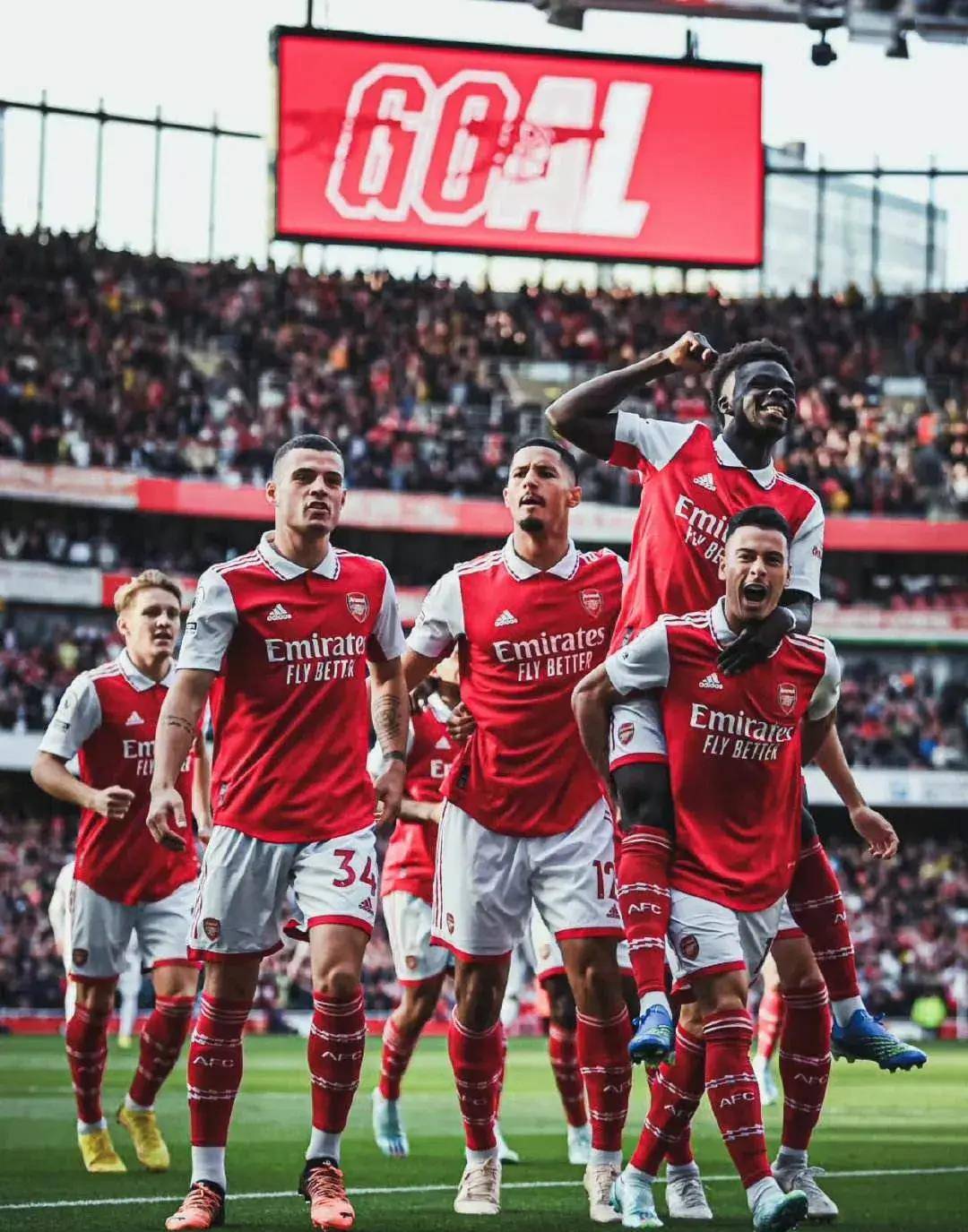 们提供了一 们提供了一